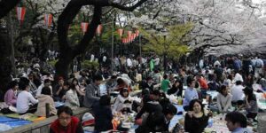 Tradisi Hanami Di Ueno Park Jepang