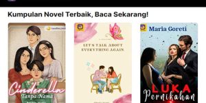 novel online di website