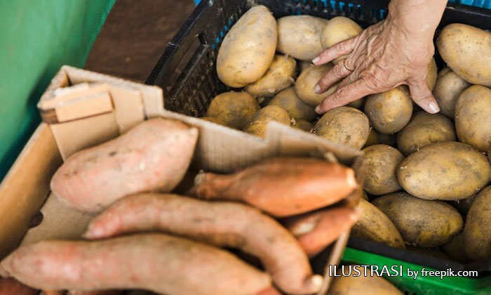 diversifikasi sumber pangan lokal